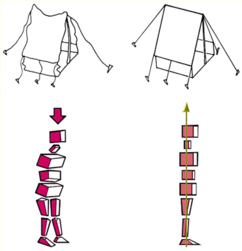 Diagram Idy Rolf: vlevo tělo pod tlakem gravitace s povolenou fasciální sítí a hroutícím se stanem, vpravo tělo v rovnováze s napnutou sítí a vypnutým stanem